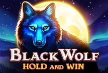 RTP quickspin  tropicana77